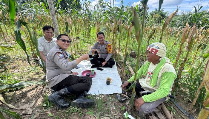 Polsek Halong Dampingi Petani Tanam Jagung di Balangan