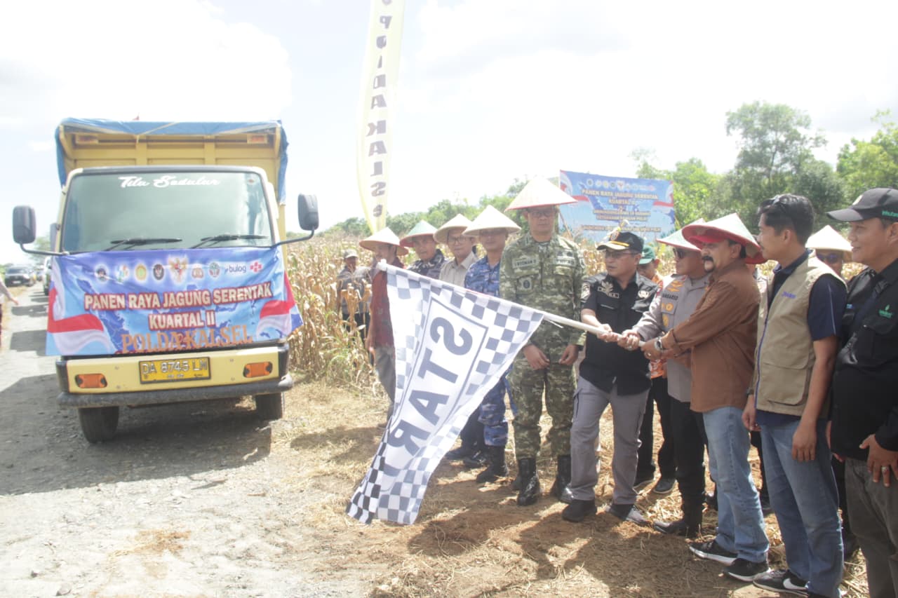 Wakapolda Kalsel bersama Forkopimda mengikuti kegiatan Panen Raya Jagung Serentak di lahan pertanian Kecamatan Bati-Bati, Tanah Laut.