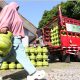 Pertamina Tambah 5,8 Juta Tabung LPG 3 Kg Selama Libur Kenaikan Isa Almasih