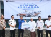 Bupati Ahmad Rifa’i Saksikan Penyaluran Hewan Kurban PT Pelindo di Pulang Pisau