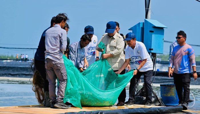 Prabowo Panen Udang di Kebumen: 1 Hektare Hasilkan 40 Ton, Target Jadi Produsen Nomor Satu Dunia