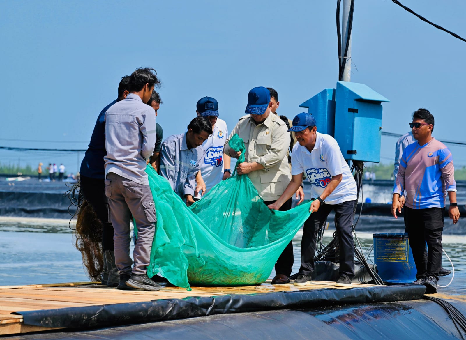 Presiden Prabowo memegang udang vannamei hasil panen di tambak BUBK Kebumen.