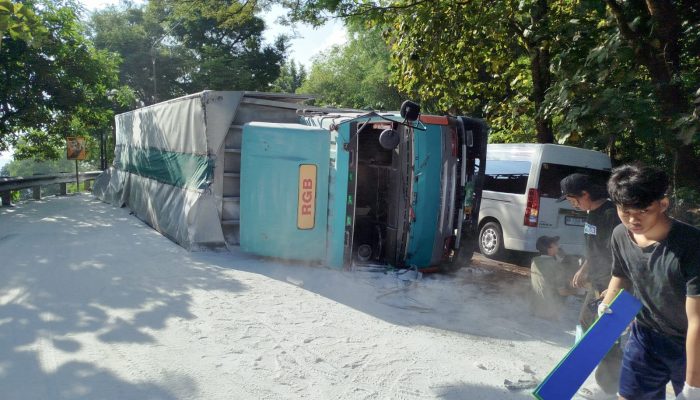 Melintas di Tikungan Bokong Semar, Truk Tronton Terguling, Dua Orang Luka