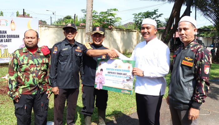 Polres Tanah Laut Sembelih 23 Sapi dan 1 Kambing, Daging Dibagikan ke Warga