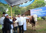Kapolda Kalsel menyerahkan sapi kurban kepada perwakilan ponpes di Lapangan Mako Satbrimob.