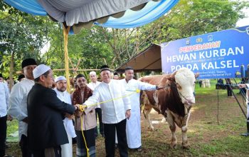Kapolda Kalsel menyerahkan sapi kurban kepada perwakilan ponpes di Lapangan Mako Satbrimob.