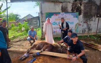 DPW SWI Kalsel Apresiasi PT NNAS Salurkan Sapi Kurban di Banjarbaru