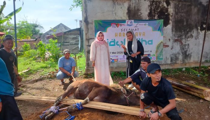 DPW SWI Kalsel Apresiasi PT NNAS Salurkan Sapi Kurban di Banjarbaru