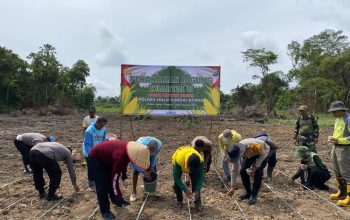 Kapolres HSU menanam bibit jagung bersama anggota Poktan dan personel Polri