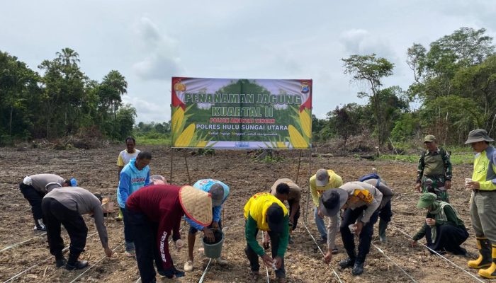 Polres HSU Tanam Jagung Pakan 3 Hektar di Banjang, Target Panen 12 Ton
