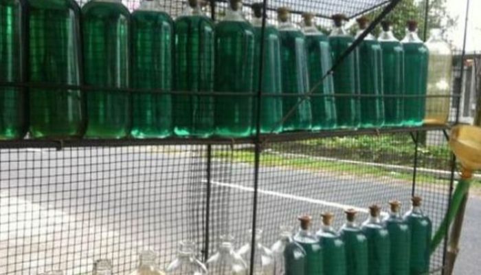 Pertalite di Barsel Tembus Rp17 Ribu, BEM PTNU Desak Tertibkan Pelangsir