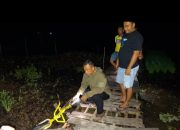 Diduga Epilepsi Kambuh, Pelajar di Tabalong Ditemukan Meninggal di Rawa