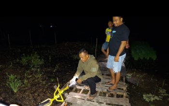Diduga Epilepsi Kambuh, Pelajar di Tabalong Ditemukan Meninggal di Rawa