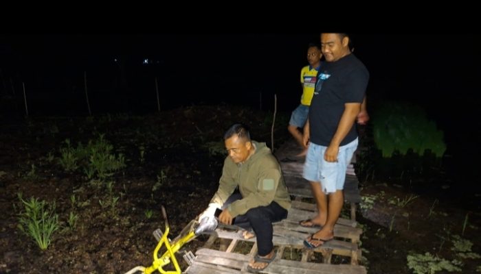 Diduga Epilepsi Kambuh, Pelajar di Tabalong Ditemukan Meninggal di Rawa