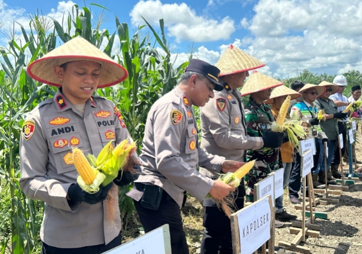 Wakapolres Kotabaru dan peserta panen raya berfoto di lahan jagung saat kegiatan Panen Raya Jagung Serentak di Pulau Laut Barat, Kotabaru.