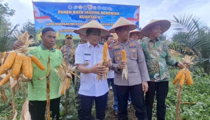 Kapolres Balangan Hadiri Panen Raya Jagung di Halong