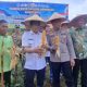 Kapolres Balangan dan Forkopimda memegang hasil panen jagung di lahan pertanian saat Panen Raya Jagung Serentak di Halong, Balangan.