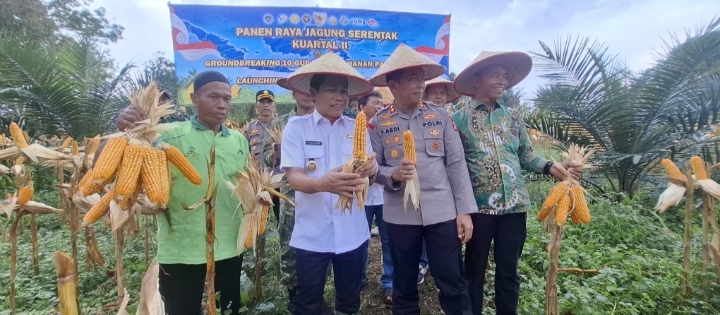 Kapolres Balangan dan Forkopimda memegang hasil panen jagung di lahan pertanian saat Panen Raya Jagung Serentak di Halong, Balangan.