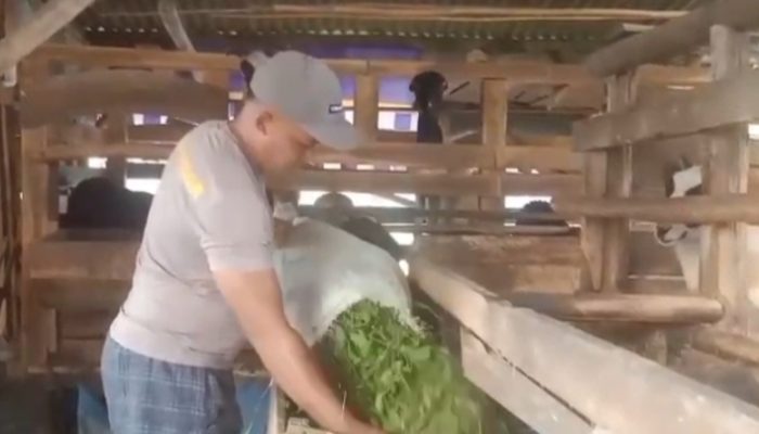 Polisi di Majalengka Kebanjiran Pesanan Kambing Kurban, Raup Omzet Rp50 Juta
