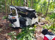 Bajaj warna oranye ringsek di kebun warga Bantul.