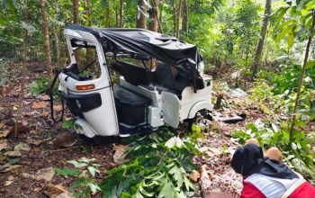 Bajaj warna oranye ringsek di kebun warga Bantul.