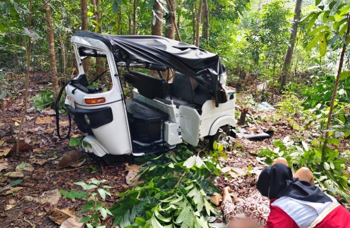Bajaj warna oranye ringsek di kebun warga Bantul.
