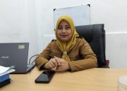 Wenti Setia Anggraini duduk di ruang kerjanya memberikan keterangan soal DBD Tanah Bumbu.