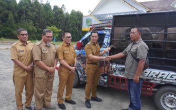 Bupati Pulang Pisau dan perwakilan PT Best Agro berfoto dengan sapi kurban.