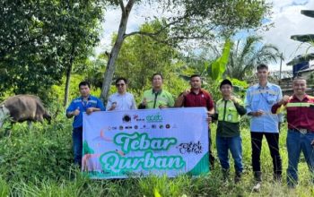 PT Laskar Coal Mandiri Salurkan 8 Sapi Kurban ke Delapan Desa Lingkar Tambang Kintap