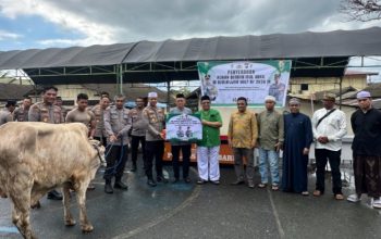 Wakapolres Kotabaru menyerahkan tali kekang sapi kurban kepada perwakilan penerima.
