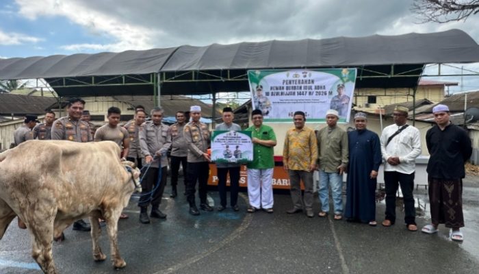 Polres Kotabaru Salurkan 18 Sapi Kurban ke Masjid, Ponpes, dan Tokoh Agama