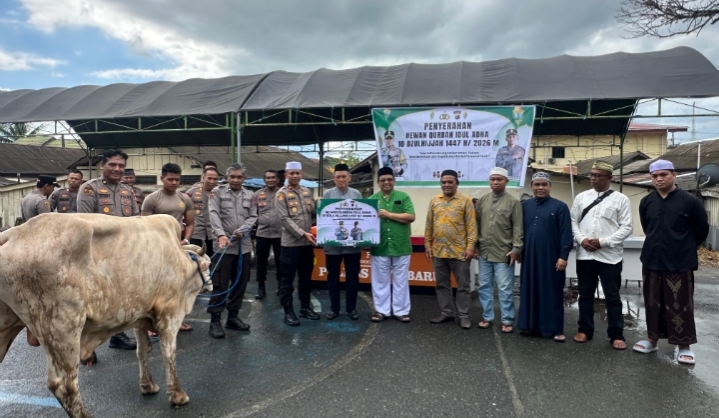 Wakapolres Kotabaru menyerahkan tali kekang sapi kurban kepada perwakilan penerima.