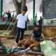 Prajurit Kodim membagikan daging kurban kepada warga sekitar Makodim.