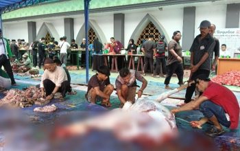 Beberapa pria bercelana panjang dan pendek sedang potong daging di atas terpal di tanah