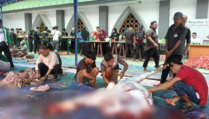 Masjid Agung Tanjungpinang Sembelih 22 Hewan Kurban: 11 Sapi dan 11 Kambing