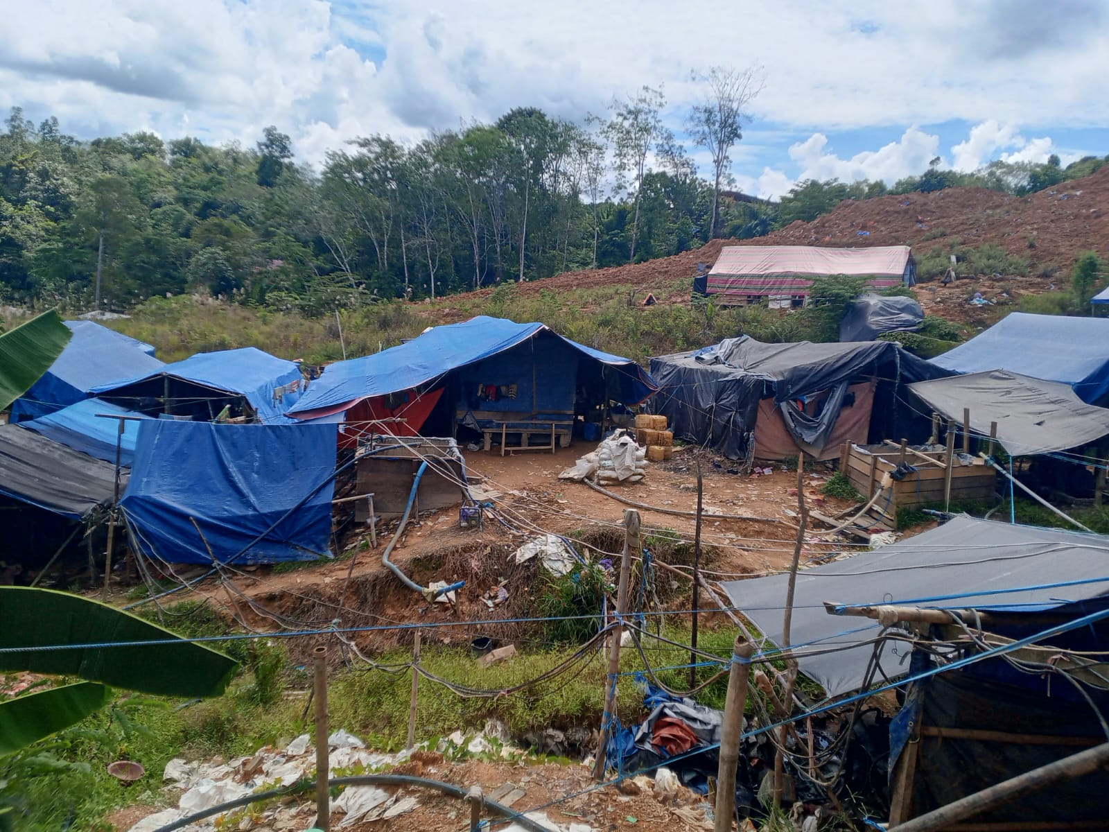 Deretan tenda pekerja di area yang diduga menjadi lokasi tambang emas ilegal di Desa Merindu, Kecamatan Tanah Siang, Murung Raya, Kalimantan Tengah.