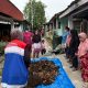 Pertamina Patra Niaga Kembangkan Budidaya Ikan & Urban Farming untuk Ketahanan Pangan