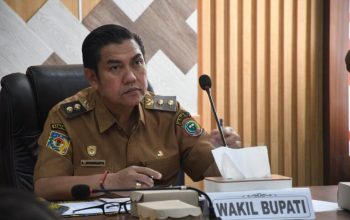 Wabup Pulang Pisau pimpin rapat inflasi lewat zoom.
