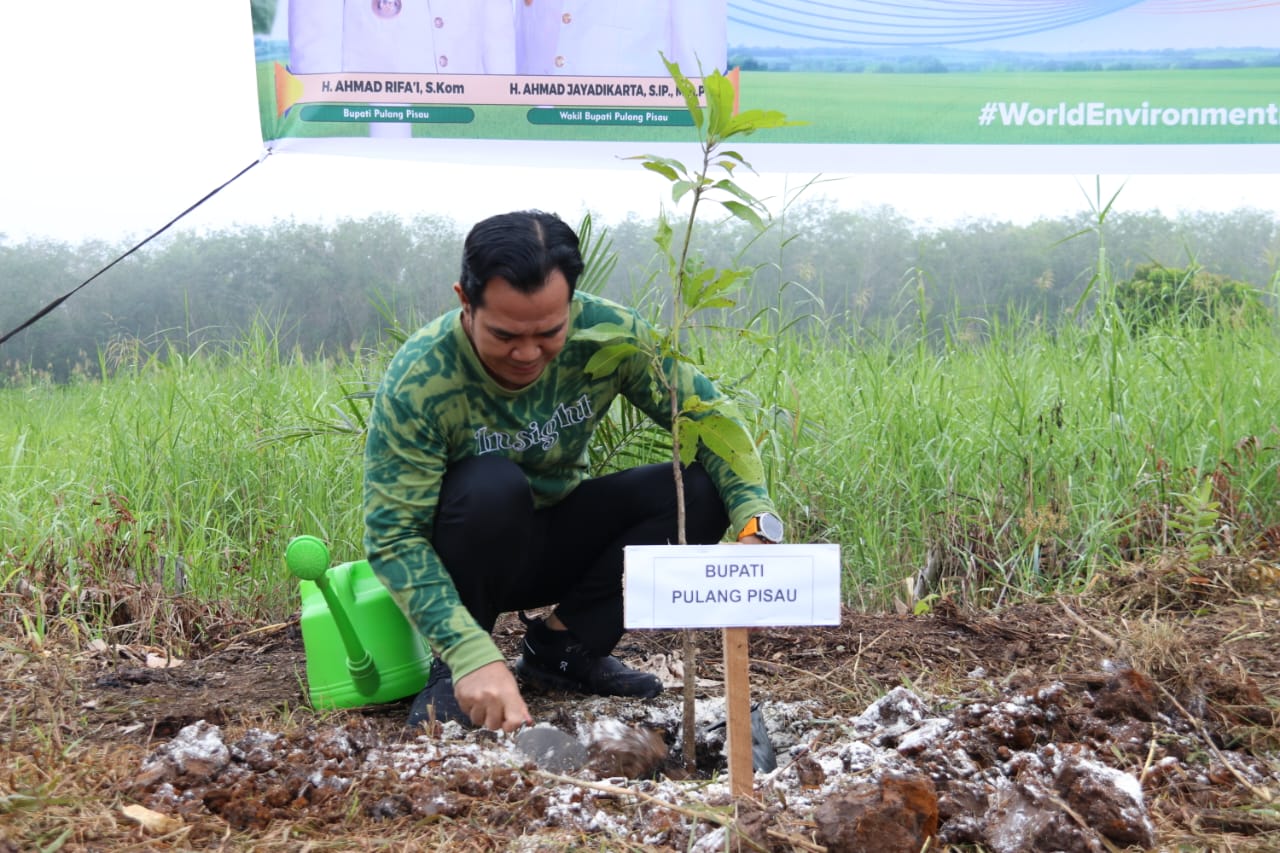 Bupati Pulang Pisau menanam pohon.