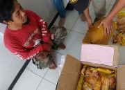 Bukan Mi Instan! Bareskrim Bongkar 5,2 Kg Ganja Asal Pekanbaru yang Disamarkan di Malang