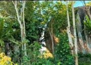 Wabup Sukamara tinjau Bukit Jorong Rayo.
