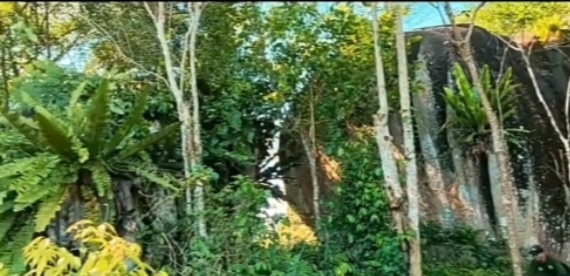 Wabup Sukamara tinjau Bukit Jorong Rayo.