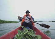 Warga memetik eceng gondok di perairan.