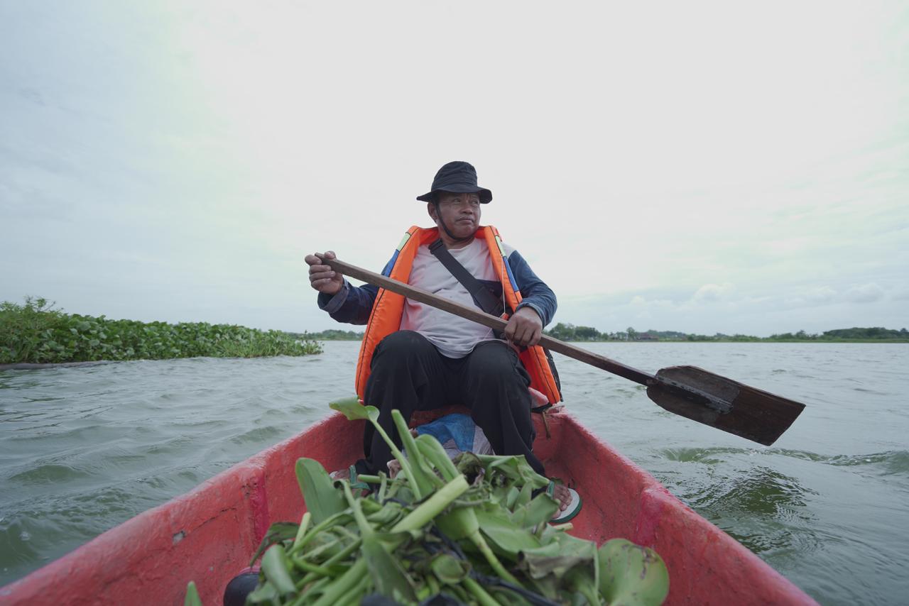 Warga memetik eceng gondok di perairan.