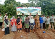 Polres Tabalong tanam jagung di Muara Harus.