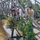 Lansia Jatuh di Sungai Telaga Silaba, Ditemukan Meninggal