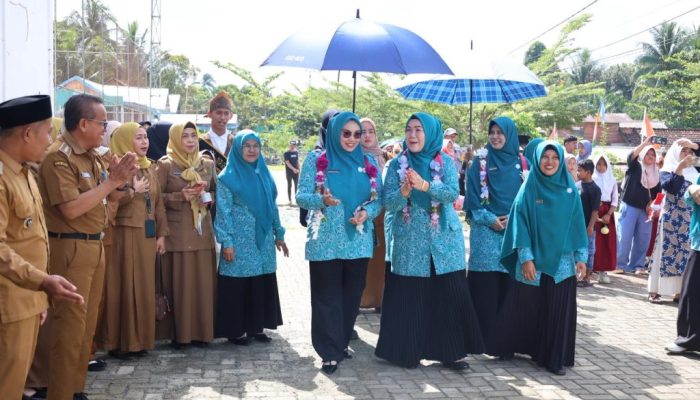 Verifikasi PAAREDI di Desa Sepakat, TP PKK Tanah Bumbu Pamerkan Inovasi KISAH dan GEMILANG