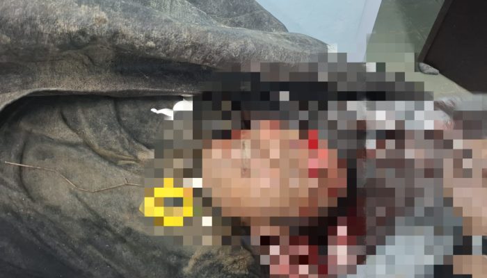 Polisi Gugur dan Dua Personel Hilang saat Gerebek Narkoba di Katingan