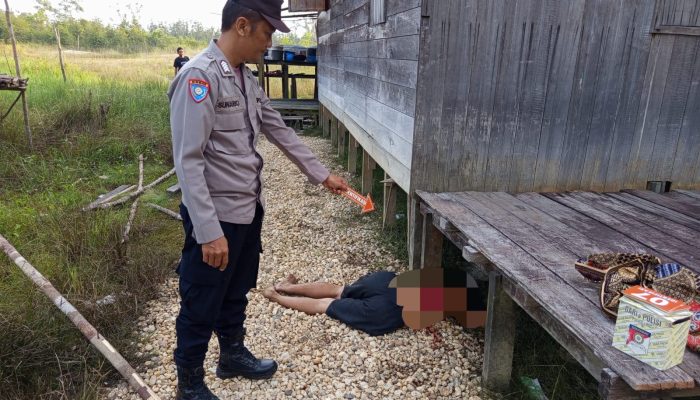 Sering Cekcok, Anak di Kapuas Tebas Ayah Kandung Hingga Tewas