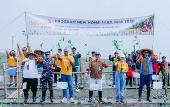 Linknet Tanam 5.000 Mangrove di Serang Jelang Hari Mangrove Sedunia